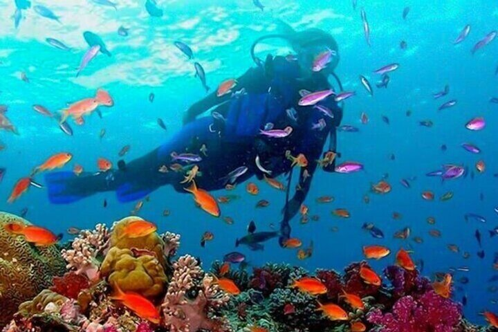 Half Day Guided Snorkeling in Negombo - Photo 1 of 6